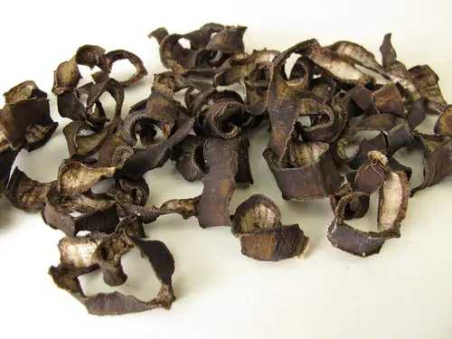Dried Banana Peel Powder Fertilizer at Home for Any Plant 2