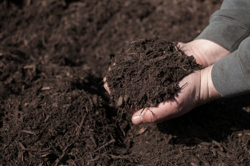 Natural Mulch