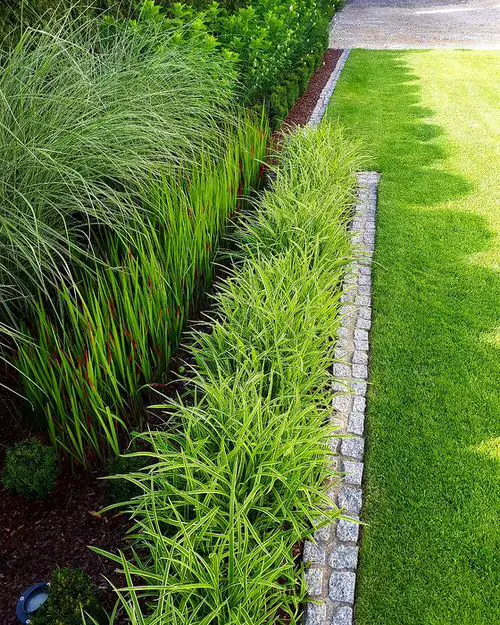 Beautiful Landscaping Without Grass Ideas 6