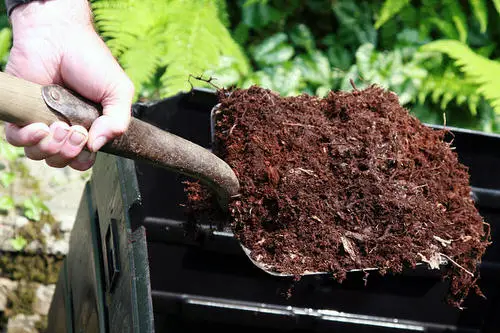 Plant Fertilizer