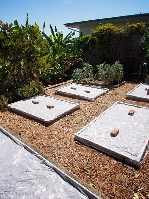 Solarize the Soil 