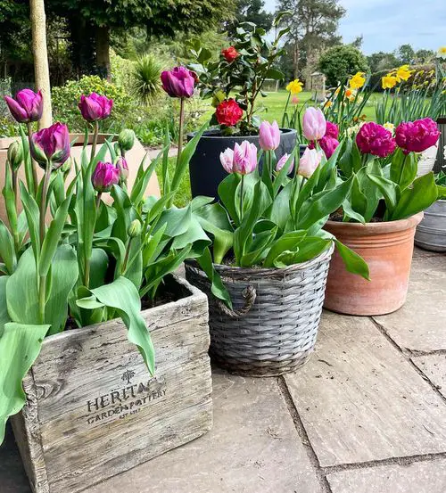 Front Porch Flower Pot Ideas 19