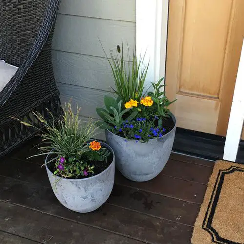 Flowers for Front yard #24