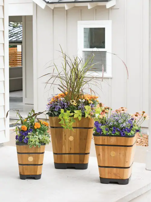 Flowers for Front yard #8