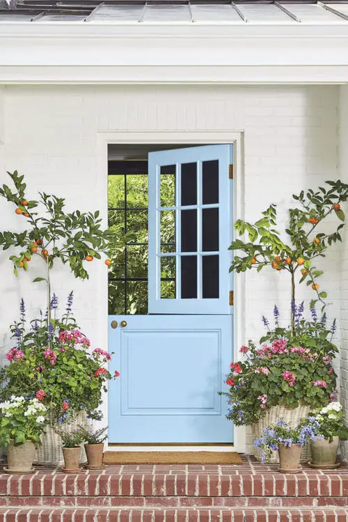 Flowers for Front yard #14