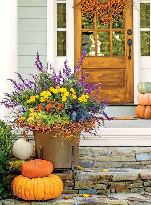 Flowers for Front yard #12