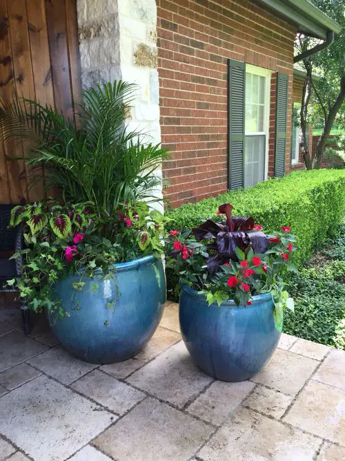 Flowers for Front yard #30