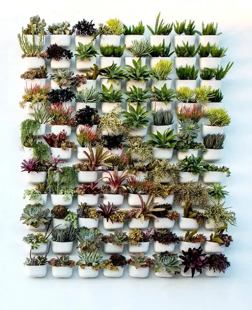 DIY Vertical Succulent Garden 8