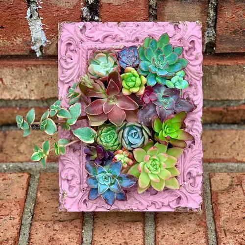 DIY Vertical Succulent Garden 6