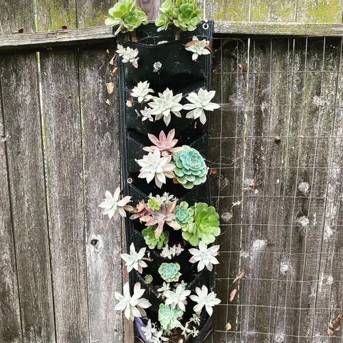 DIY Vertical Succulent Garden 4