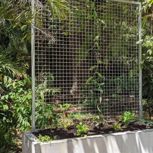 Grow a Vertical Tropical Garden