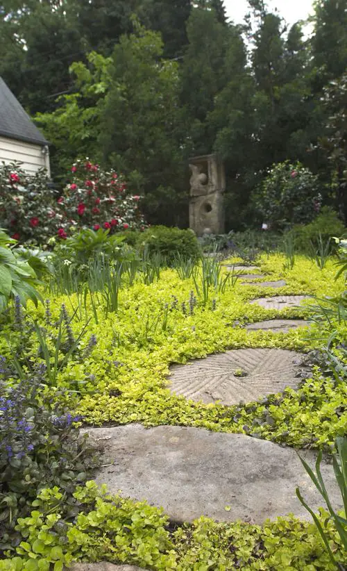 Landscaping Without Grass Ideas 6