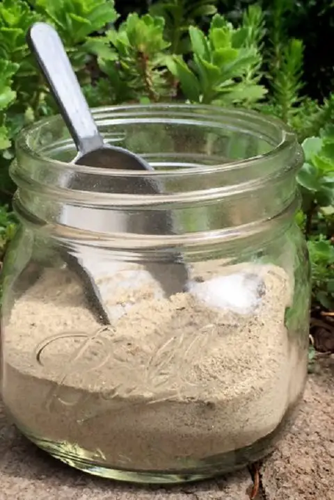 Dried Banana Peel Powder Fertilizer at Home for Any Plant