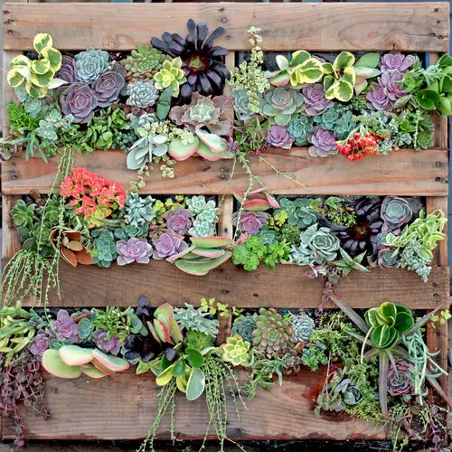 Cheap Patio Ideas for Budget Gardeners 6