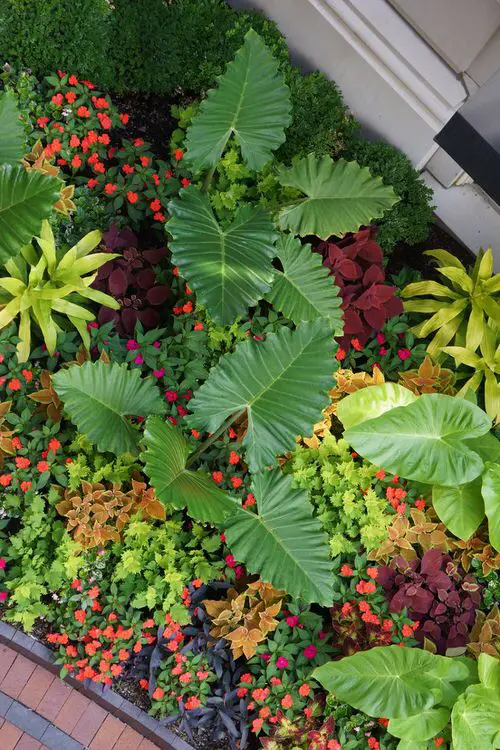 Garden Bed Ideas 10