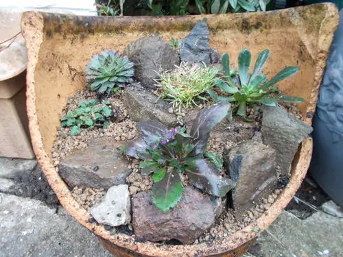How to Turn Broken Pots into Stunning Features 12