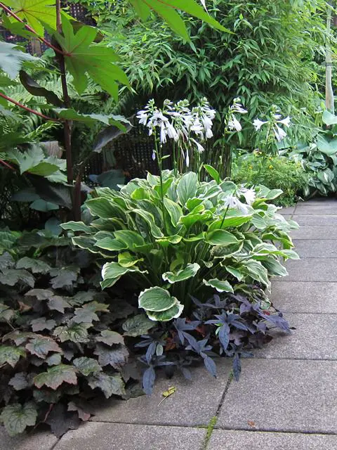 Garden Bed Ideas 16