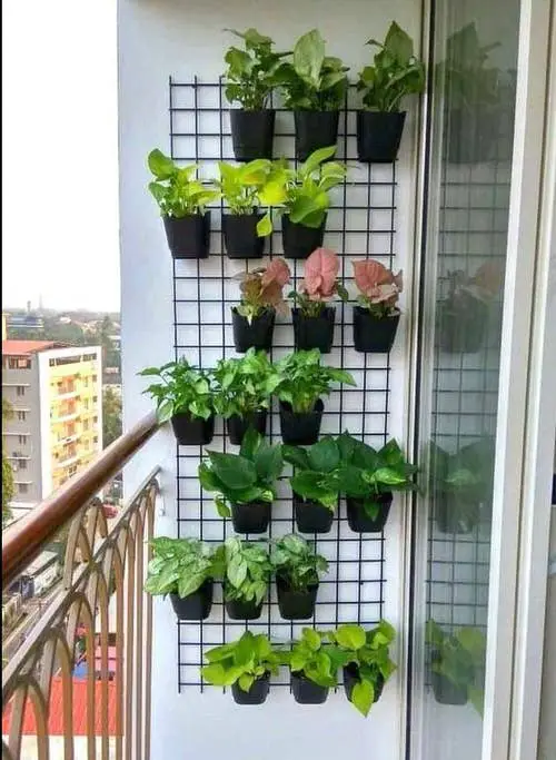 Balcony Hanging Planter Ideas 23