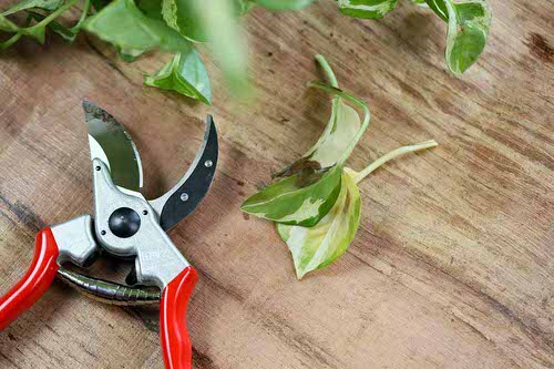 Use the Right Set of Tools