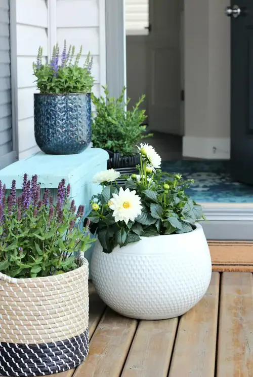 Cheap Patio Idea 3