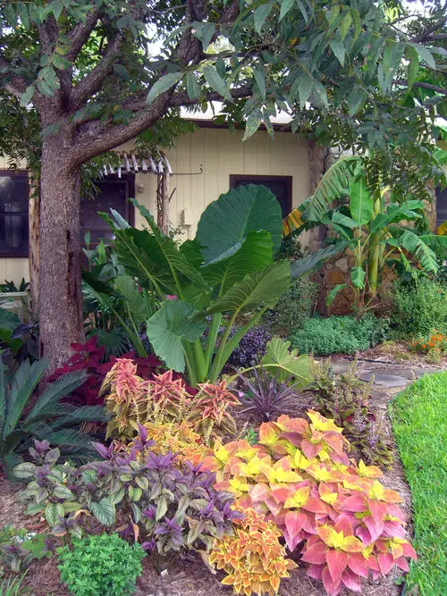 Crazy Tropical Garden Bed Ideas You'd Like to Copy 6