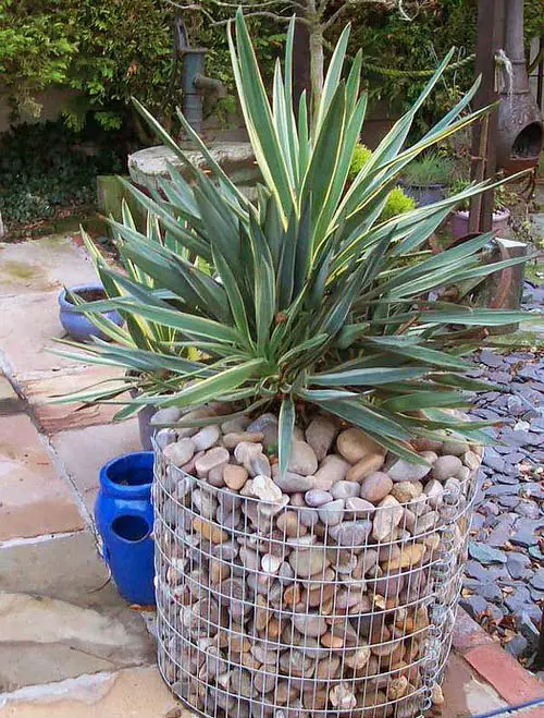 Garden gabion plant stands: brilliant design. 16