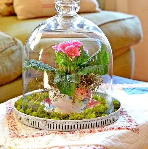Creative Teacup Planters 31