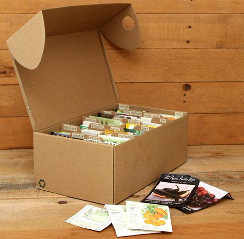 DIY Seed Storage Ideas 