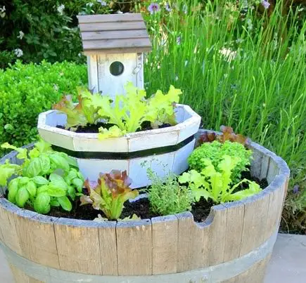 Lettuce Planter Projects for Gardeners 6