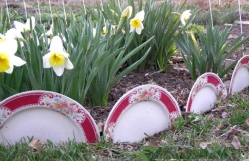 Flea Market Garden Decor Ideas 19