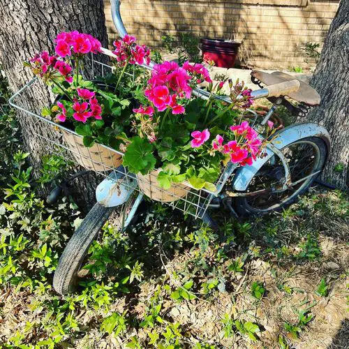Garden Decor Ideas 2