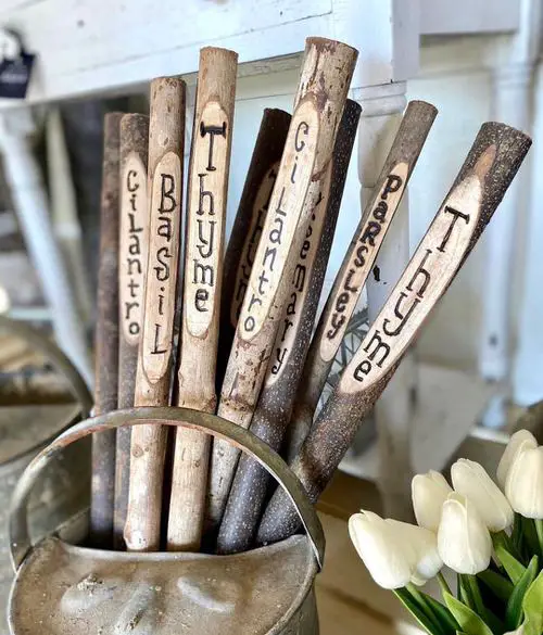 Garden Decor Ideas 6