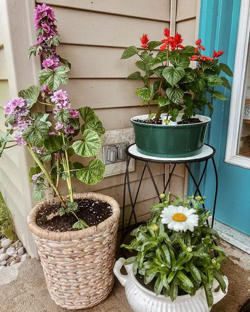 Garden Decor Ideas 10