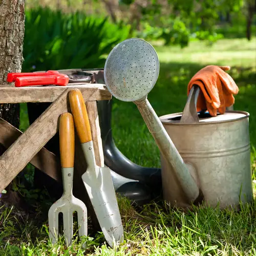 Surprising Vicks VapoRub Uses in the Garden 4