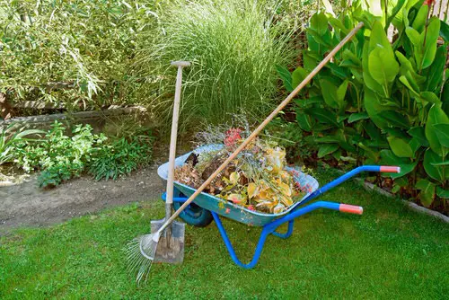 How to Keep Cats Out of the Garden? 9