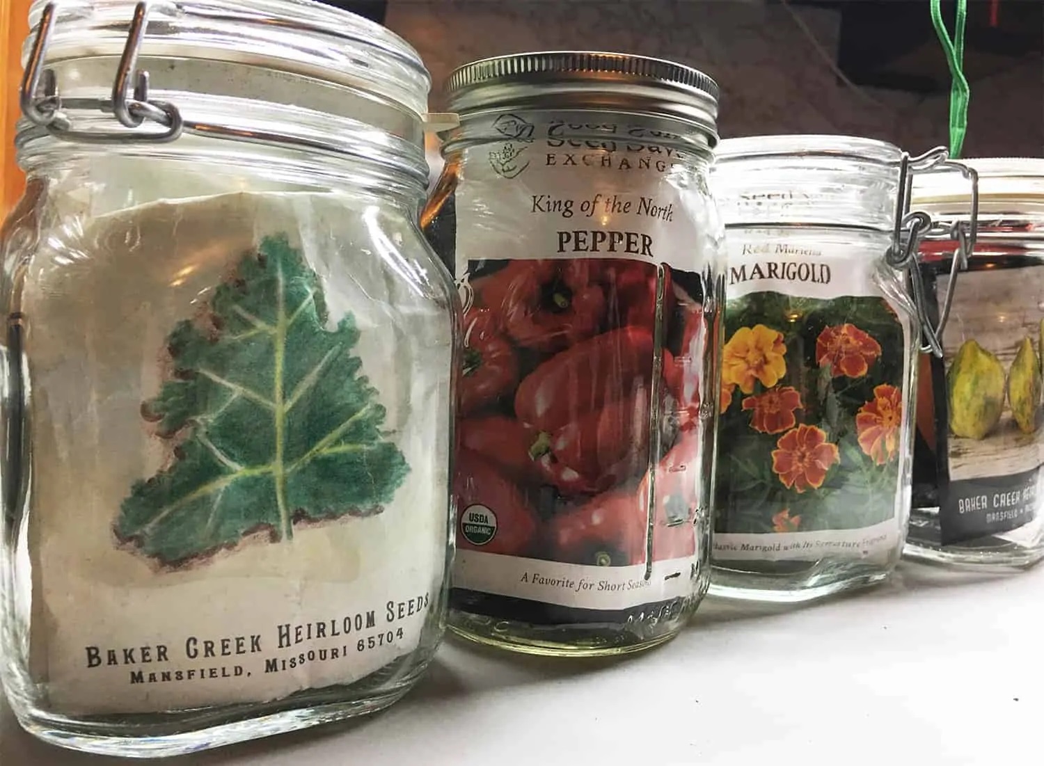 DIY Seed Storage Ideas 12