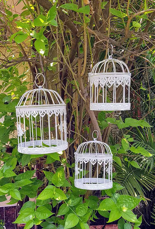 Hanging Decoration Ideas for Backyard and Garden 