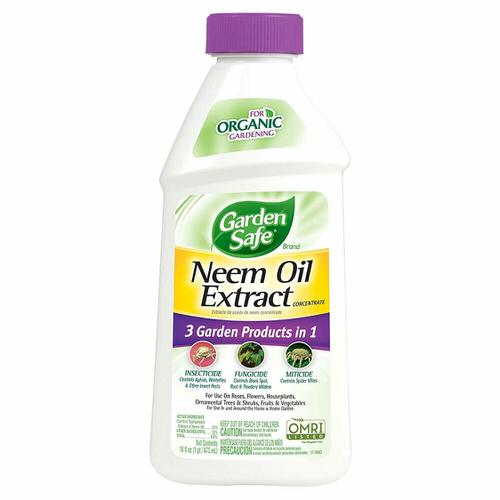 Organic Neem Oil Uses for Garden 