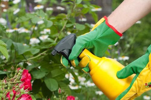 Nicotine for Repelling Range of Pests