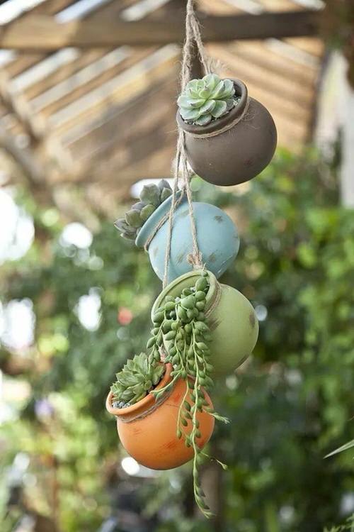 Hanging Succulent Pottery Garden