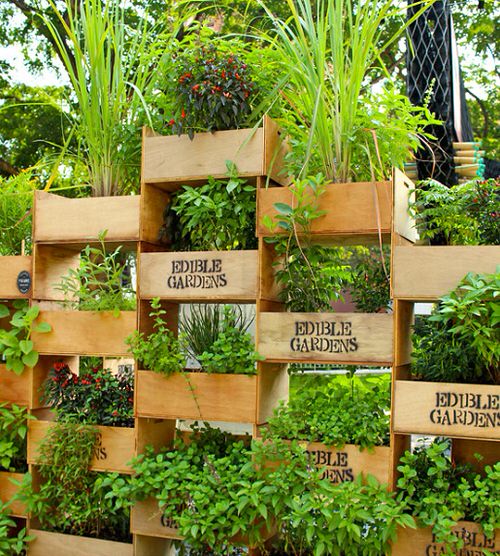 DIY Vertical Garden Bed Ideas 15