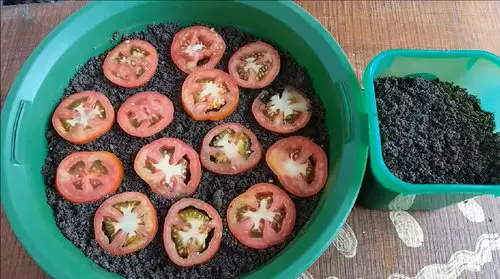 Unbelievable Ways to Grow Tropical Fruits