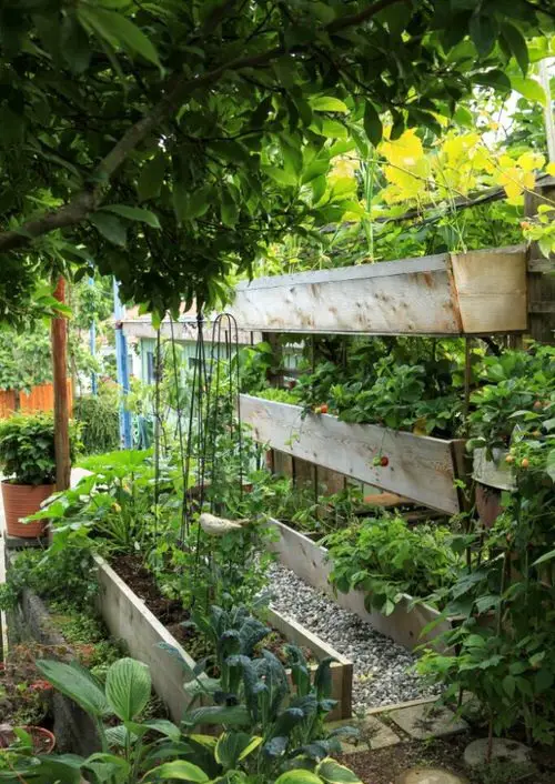 DIY Vertical Garden Bed Ideas 8