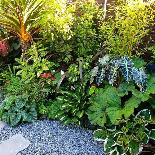 Garden Bed Ideas 24