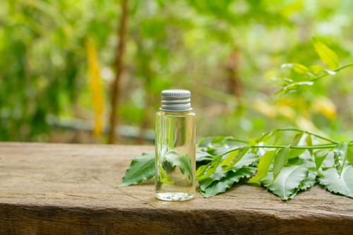 Get Rid of Aphids Naturally 6