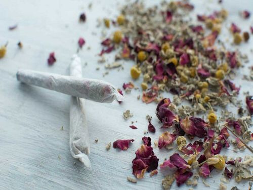 Best Smokable Plants & They are Not Weed or Tobacco