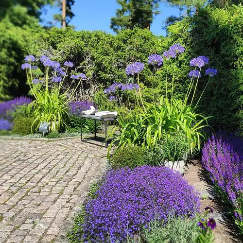 A Purple Paradise