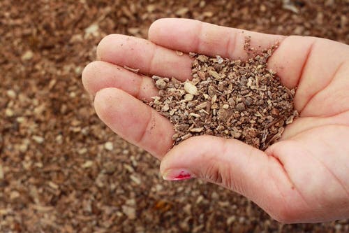 DIY Cucumber Fertilizers