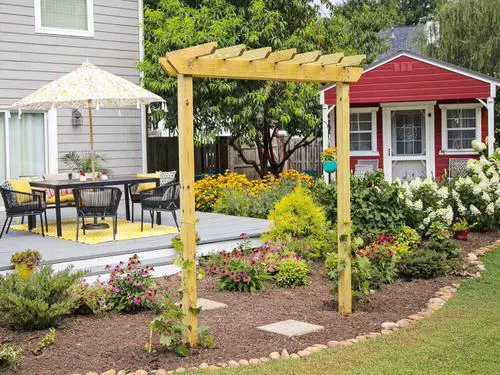 Grapevine Trellis Ideas 5