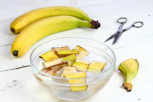 Banana Peels Fertilizer
